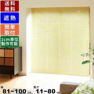 yyVSUPERSALE!eN[|zzzCeAuCh F-NS-10080 TCYI[_[ Wdl ՔMR[g [uCh [J[e [XN[ ډB ڂ Q rO