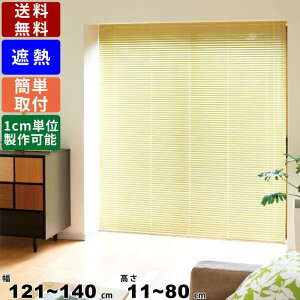 CeAuCh F-NS-14080 TCYI[_[ Wdl ՔMR[g XN[ [XN[ J[e [J[e d؂ Ԏd؂ ډB ڂ Q rO _CjO 