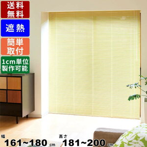 CeAuCh F-NS-180200 TCYI[_[ Wdl ՔMR[g [XN[ I[_[XN[ XN[ Vt ʕt Q rO _CjO R[hʒuI\ 