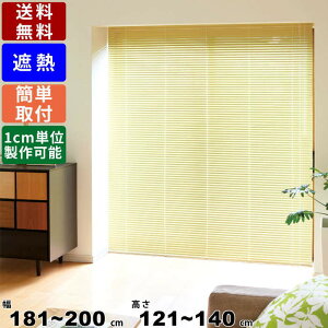 CeAuCh F-NS-200140 TCYI[_[ Wdl ՔMR[g uCh [uCh J[e XN[ ډB ڂ Q rO _CjO  d؂ Ԏd؂ 1cm