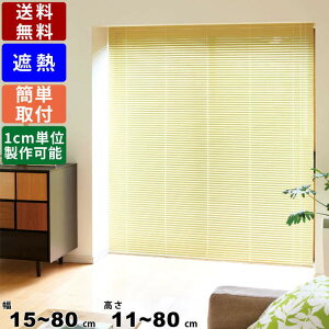 CeAuCh F-NS-8080 TCYI[_[ Wdl ՔMR[g uCh [uCh J[e XN[ ߓd ߉\    d؂ Ԏd؂ J[8F J[