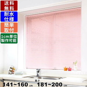 yyVSUPERSALE!eN[|zzzCeAuCh F-TI-160200 TCYI[_[ ϐdl I[_[XN[ XN[ ډB ڂ J[e uCh ϐXbg J[e