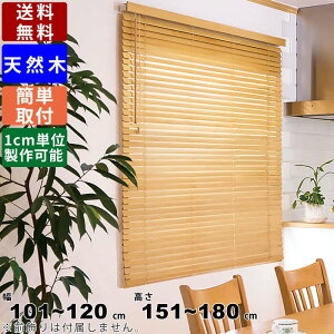 EbhuCh F-WB-120180 TCYI[_[ VR uCh ؐuCh EbhJ[e I[_[Ch ډB ڂ   N[[bg i` EH[ibg ~f