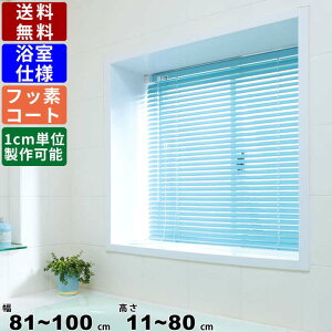 CeAuCh F-YF-10080 TCYI[_[ dl tbfR[g J[e [J[e ϐdl XN[ uCh I[_[Ch 葋p  C ʏ Lb` 