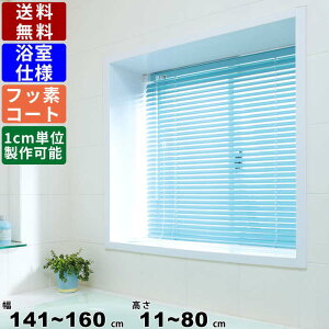 CeAuCh F-YF-16080 TCYI[_[ dl tbfR[g [XN[ I[_[XN[ ډB ڂ J[e uCh ϐdl ʒuI\ J[8F 