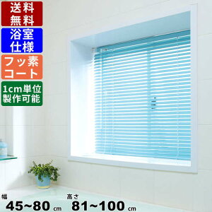 CeAuCh F-YF-80100 TCYI[_[ dl tbfR[g uCh A~uCh ډB ڂ [XN[ [J[e 葋p J[oG[V 