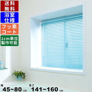 CeAuCh F-YF-80160 TCYI[_[ dl tbfR[g CeA XN[ uCh J[e ډB ڂ I[_[Ch ϐdl A~Xbg 45`80mm t