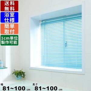 CeAuCh F-YK-100100 TCYI[_[ dl XN[ I[_[XN[ 葋p J[e uCh ȒPt Hsv J[oG[V ډB ڂ _u