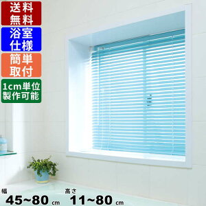 インテリアブラインド F-YK-8080 サイズオーダー 浴室仕様 インテリア ブラインド ロールブラインド 耐水 カーテン スクリーン ダブルピッチ構造 目隠し 目かくし 突っ張り式 昇降コード チル