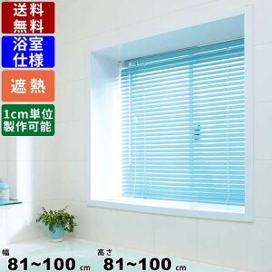 CeAuCh F-YS-100100 TCYI[_[ dl ՔMR[g [XN[ ϐXN[ A~ [J[e [uCh ډB ڂ 葋p C ʏ