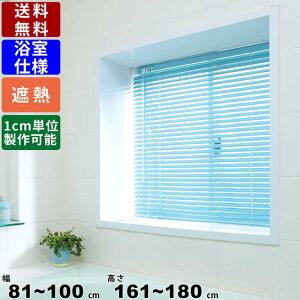 CeAuCh F-YS-100180 TCYI[_[ dl ՔMR[g uCh [uCh tȒP Hsv XN[ J[e  C ʏ Lb` J[oG[V