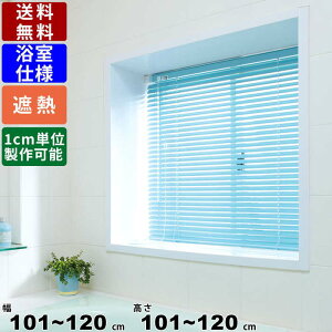 CeAuCh F-YS-120120 TCYI[_[ dl ՔMR[g XN[ [XN[ ϐdl uCh J[e Hsv tȒP 101`120mm  ډB ڂ 