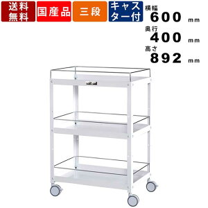 RrjS R{~ߕt3i^Cv WCFS-3-P ω׏d96kg oփLX^[ c[J[g c[S h~ X`[ iCLX^[  p[sN 60cm s40cm H[ 