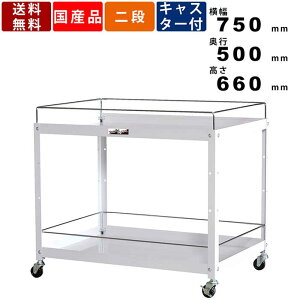 RrjS R{~ߕt2i^Cv WCWF-2-P ω׏d96kg SLX^[ X`[S c[ H I ƃXy[X [NXy[X ItBXƋ h~ 75cm s75cm 6