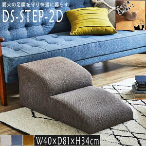 ybgpXebv DG-STEP-2 hbOXebv LbgXebv 2i X[v Ki ꐶndl ݑ Xebv ybgXebv p Lp t@ubN ^ V VL  ⏕ u[ 