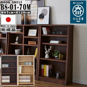 ubNVFt BS-01-70M ubNbN {I I VFt bN I2 rO Q e { ߉\ 芴 I[vVFt I[vbN ؖڒ }K R~bN 