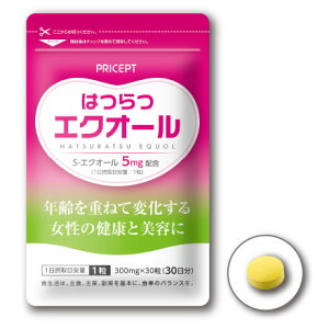 yԌzvZvg ͂GNI[ 30y30z䂤pPbgziPij哤C\t{ vZ^ NR̎ qnc ngM GXgQ XN z 