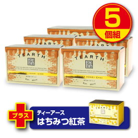 【期間限定特価+はちみつ紅茶付】【送料無料】ティーアース はちみつチャイ 50g(2g×25袋)(5個組)ティーバッグ 個包装タイプ セイロン紅茶 ポーランド産はちみつ使用 シナモン クローブ ジンジャー TEARTH