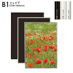 B1TCY 728×1030mm VFCv A~t[pl t[ z Vo[ ubN zCg S[h |X^[t[ |X^[pl A~z ܏ ʐ^ G POP ar12020033yAez