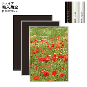 AeSTCY 680×990mm VFCv A~t[pl t[ z Vo[ ubN zCg |X^[pl A~z CXg ʐ^ G POP  |pi ar12020038yAez