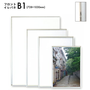 B1TCY 728×1030mm tgCpl ȒP yʃA~tgI[vpl t[pl t[ z Vo[ Vv ʐ^ tHgt[ Ǌ| ʐ^ i ar12080001yAe