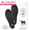 【公式】カモシカソール 1足セット 世界特許技術採用 姿勢矯正 姿勢改善 美脚 消費カロリー ダイエット ソール アーチ…