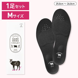 yzJVJ\[ EZp̗p p pP r J[ _CGbg \[ A[`T|[g Jy ĕ ؃g w G or J ~ C