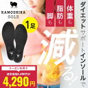 【ランキング1位！エントリーでポイント10倍！】カモシカソール 世界特許技術採用 姿勢矯正 姿勢改善 美脚 消費カロリ…