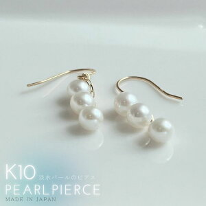 Wp[sAX K10 { ؚ 10tbNsAX |Xg S[h CG[S[h 1 Pi i  Vv fB[XWG[  AM[Ή