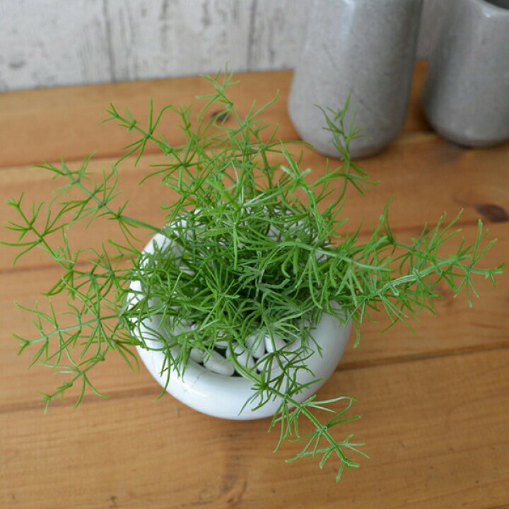 540円 豪華な コスメ風ミニボトル 6月誕生石色 ムーンストーン と 土