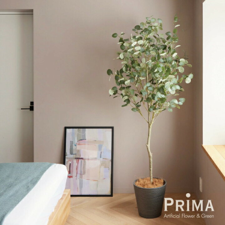 楽天市場 フェイクグリーン 人工観葉植物 大型 ユーカリgwプランター B Gray H190cm フェイクグリーン Greenpark セットアップ 別倉庫直送品 インテリア おしゃれ リアル イミテーション インテリアグリーン オフィス 開店祝い 開業祝い 玄関 リビング Prima