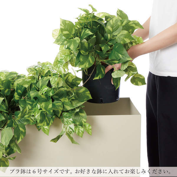 【楽天市場】マグノリア インナーポット 6号 観葉植物 フェイク