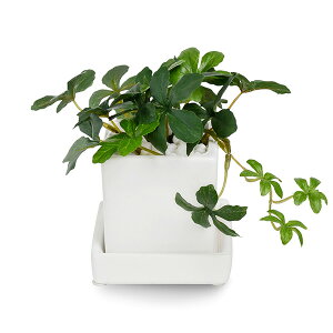 造花 白 観葉植物の人気商品 通販 価格比較 価格 Com