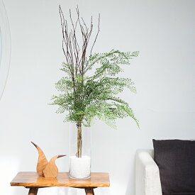 楽天市場 観葉植物 ガラス容器の通販