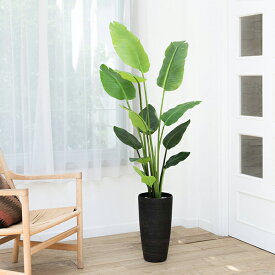 楽天市場 インテリアグリーンの通販 楽天市場 インテリアグリーンの通販