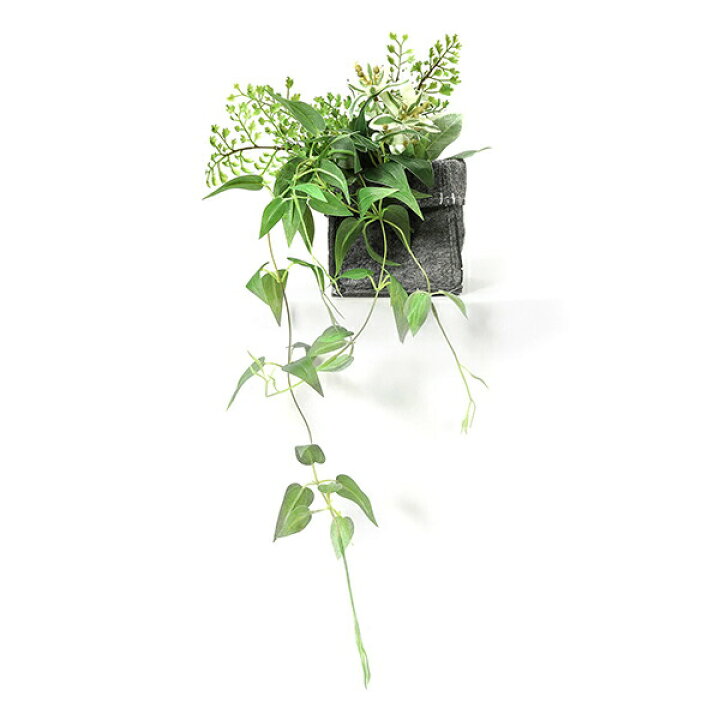 楽天市場 インテリア フェイクグリーン 人工観葉植物 造花ハツユキソウ リキュウソウ 消臭ファブリックポット フェイクグリーンgreenpark おしゃれ リアル イミテーショングリーン アートグリーン プレゼント お祝い 洗面所 掛ける 吊るす 消臭 調湿 Prima Greenpark