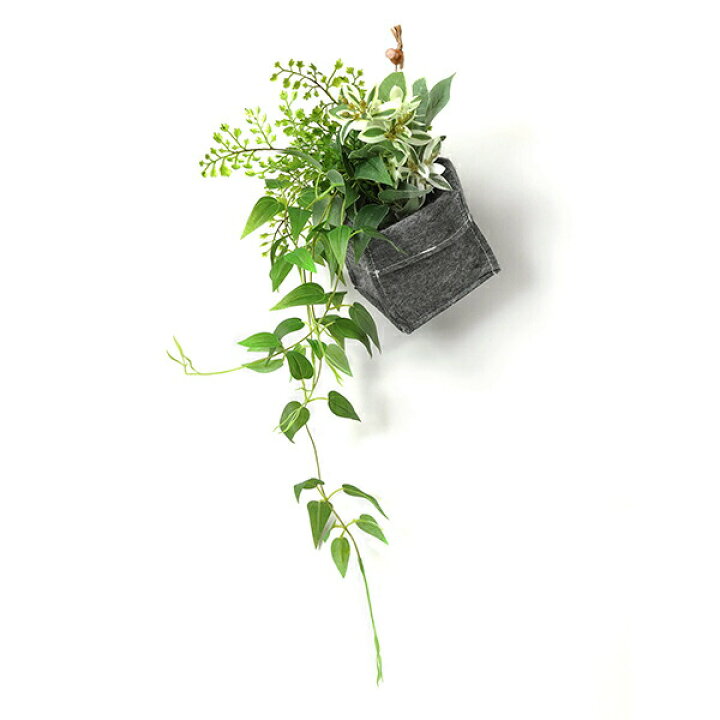 楽天市場 インテリア フェイクグリーン 人工観葉植物 造花ハツユキソウ リキュウソウ 消臭ファブリックポット フェイクグリーンgreenpark おしゃれ リアル イミテーショングリーン アートグリーン プレゼント お祝い 洗面所 掛ける 吊るす 消臭 調湿 Prima Greenpark
