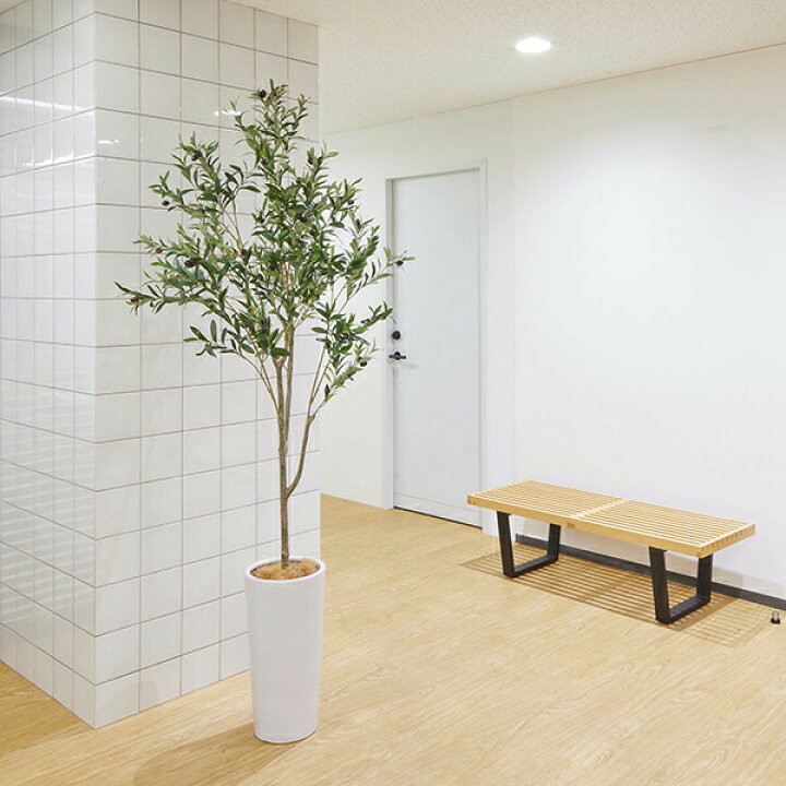 楽天市場 インテリア フェイクグリーン 人工観葉植物 造花 大型オリーブ シリンダーポット H2cm フェイクグリーン Greenpark セットアップ 別倉庫直送品 フェイク 玄関 オフィス 水やり不要 枯れないイミテーショングリーン アートグリーン おしゃれ Prima