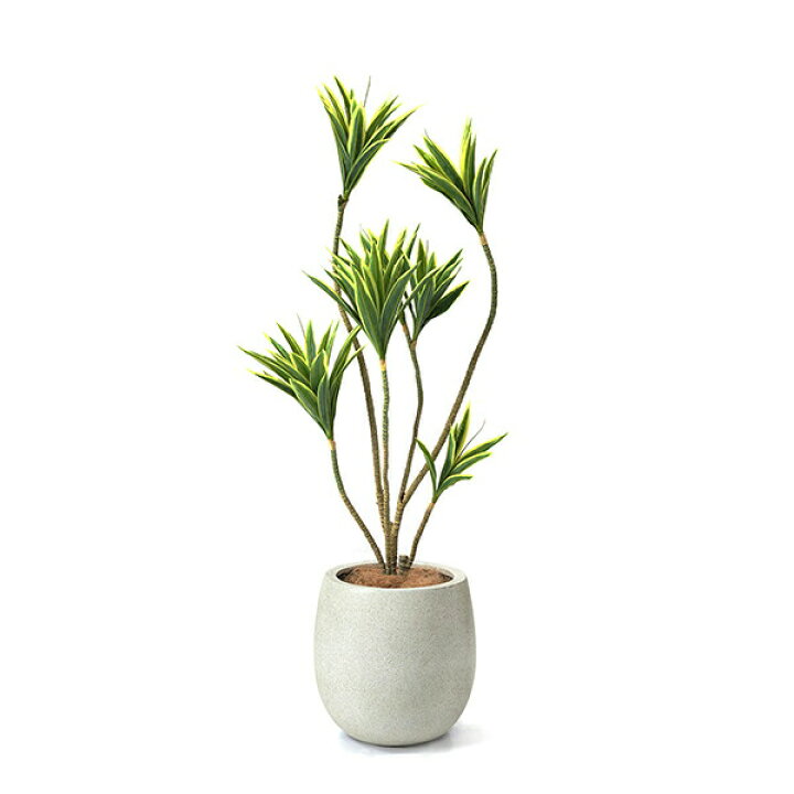 楽天市場 インテリア フェイクグリーン 人工観葉植物 造花 大型ドラセナ エッグポット White H1cm フェイクグリーン Greenpark セットアップ 別倉庫直送品 フェイク 玄関 オフィス 水やり不要 枯れない アートグリーン おしゃれ エコ リサイクル素材 Prima