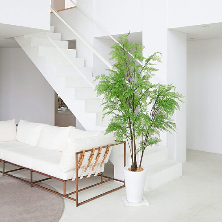 楽天市場 インテリア フェイクグリーン 人工観葉植物 造花 大型シダ チャドトールポット H210cm フェイクグリーン Greenpark セットアップ 別倉庫直送品 フェイク 玄関 オフィス 水やり不要 枯れないイミテーショングリーン アートグリーン おしゃれ Prima