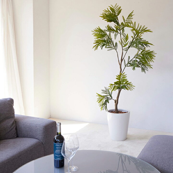 楽天市場 フェイクグリーン 人工観葉植物 大型 エバーフレッシュ 白陶器 H170cm Greenpark インテリア おしゃれ リアル イミテーション インテリアグリーン オフィス 開店祝い 開業祝い 玄関 リビング Prima Greenpark