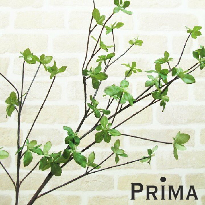 楽天市場 フェイクグリーン ドウダンツツジ グリーン H115 人工観葉植物 造花 Prima インテリア アレンジ フェイク アートフラワー シルクフラワー おしゃれ プレゼント 単品 枝 アレンジメント おしゃれ Pa 0468 Prima Greenpark