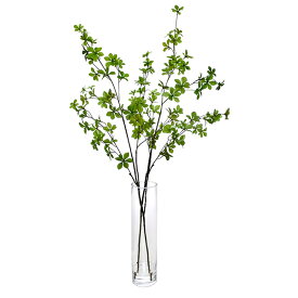 楽天市場 ドウダンツツジ 生花の通販