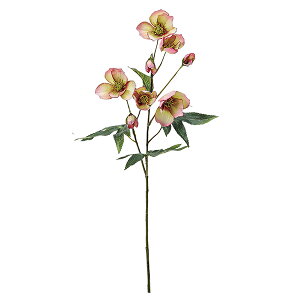 紫 花 冬の人気商品 通販 価格比較 価格 Com