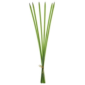 楽天市場 造花 種類 植物 コンシンネ 造花 人工観葉植物 花 観葉植物 花 ガーデン Diyの通販 楽天市場 造花 種類 植物 コンシンネ 造花 人工観葉植物 花 観葉植物 花 ガーデン Diyの通販