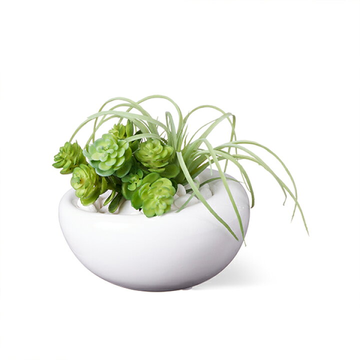 楽天市場】インテリア フェイクグリーン 人工観葉植物 造花アオエニウム・チランジア 白陶器S フェイクグリーン GREENPARK | おしゃれ リアル イミテーショングリーン アートグリーン 小さい 陶器 プレゼント ギフト : PRIMA-GREENPARK 楽天市場】インテリア フェイクグリーン 人工観葉植物 造花アオエニウム・チランジア 白陶器S フェイクグリーン GREENPARK | おしゃれ リアル イミテーショングリーン アートグリーン 小さい 陶器 プレゼント ギフト : PRIMA-GREENPARK