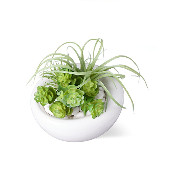 楽天市場】インテリア フェイクグリーン 人工観葉植物 造花アオエニウム・チランジア 白陶器S フェイクグリーン GREENPARK | おしゃれ リアル イミテーショングリーン アートグリーン 小さい 陶器 プレゼント ギフト : PRIMA-GREENPARK 楽天市場】インテリア フェイクグリーン 人工観葉植物 造花アオエニウム・チランジア 白陶器S フェイクグリーン GREENPARK | おしゃれ リアル イミテーショングリーン アートグリーン 小さい 陶器 プレゼント ギフト : PRIMA-GREENPARK