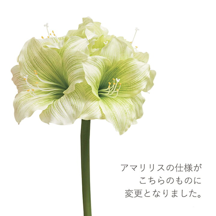 楽天市場 仏花 供花 造花 アーティフィシャルフラワー アマリリス マム 八重リシアンズ ライブリー 対2個セットprima 仏壇用 仏壇 法事 献花 お供え花 お供え お悔み お悔やみ 花 お彼岸 彼岸 フラワーアレンジメント Prima Greenpark
