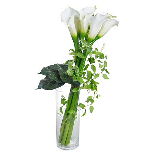 yzJ[ KXV_[  t[AWg | PRIMA tFCNt[ CeA t[Mtg A[gt[ JXj JƏj AW v[g AW