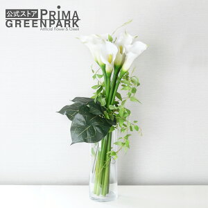 yzJ[ KXV_[  t[AWg | PRIMA tFCNt[ CeA t[Mtg A[gt[ JXj JƏj AW v[g AW